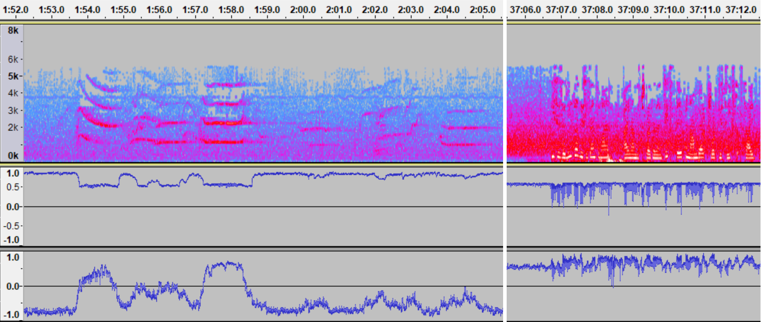 Sample of spectrogram and activations from 2006-046B